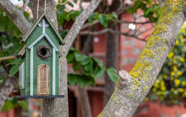 Villa Torrita - Photo 36