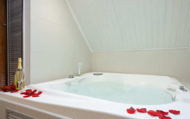 Deluxe Altemar - Photo 5