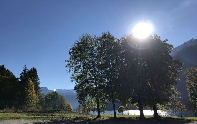 Guffertblick - Photo 22