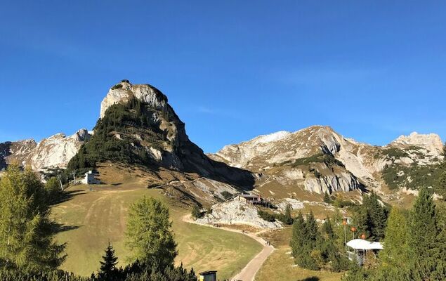 Guffertblick - Photo 24