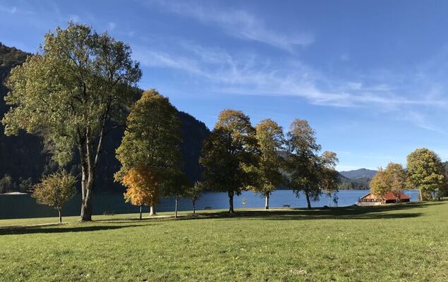 Guffertblick - Photo 25