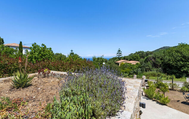 Casa Palmento - Photo 33