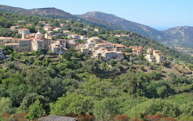 Casa Palmento - Photo 42