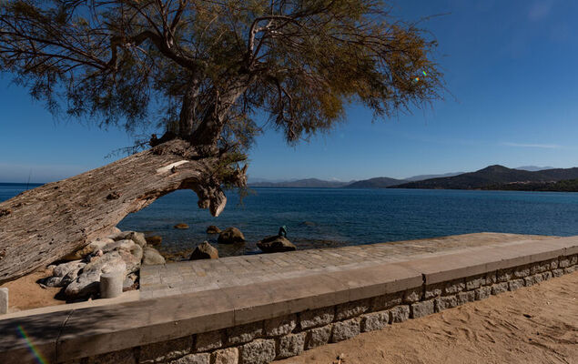 Casa Palmento - Photo 46